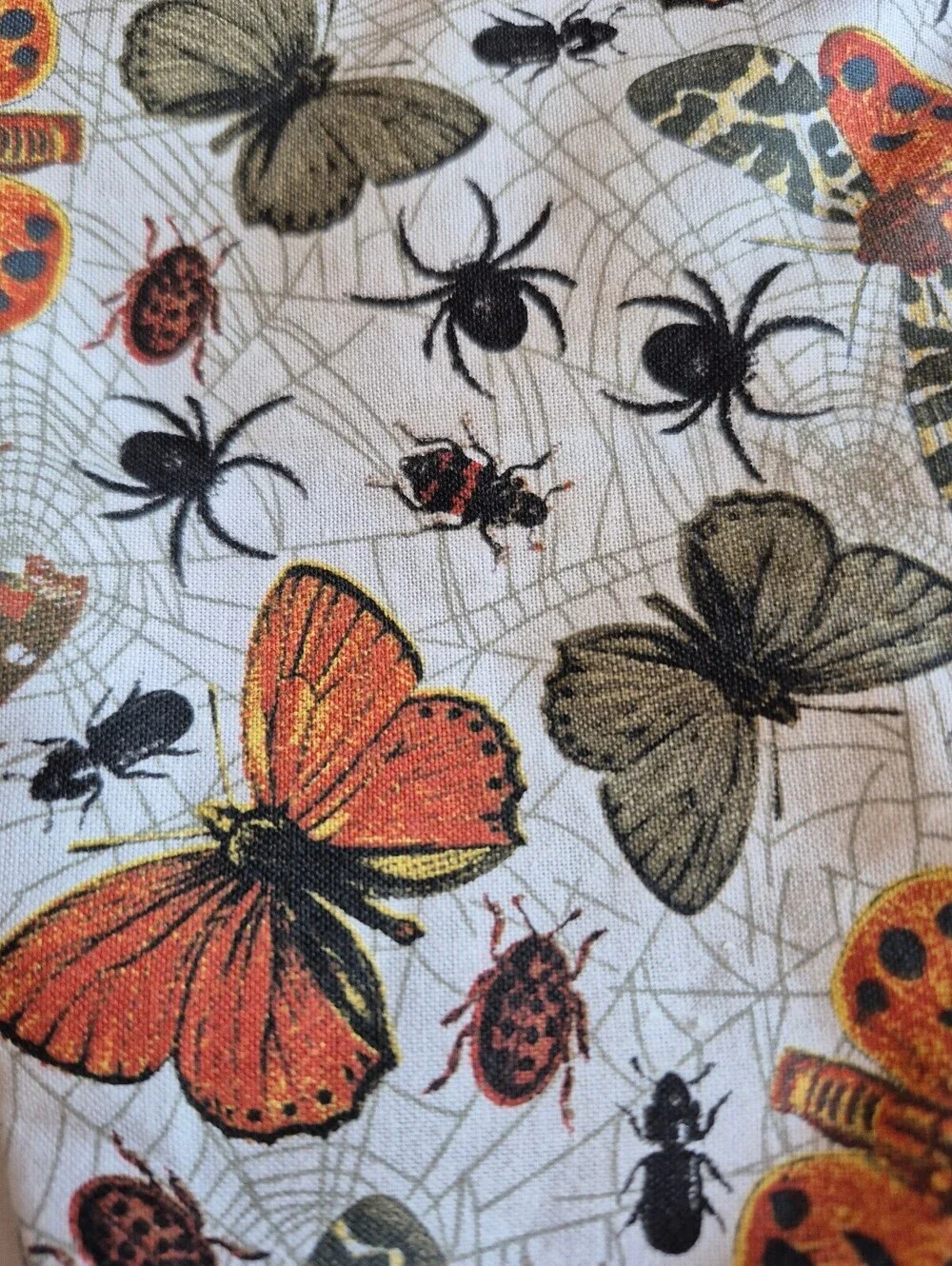 coffin pouch w/ spiders, moths, and Bettles, caught in a web in creme backing